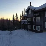 Apartmán In In-out, Sauna And View Trysil