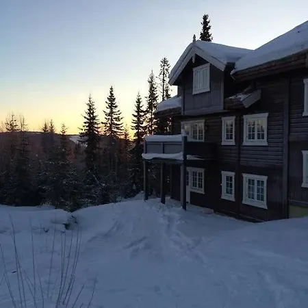 Apartment In In-out, Sauna And View Trysil